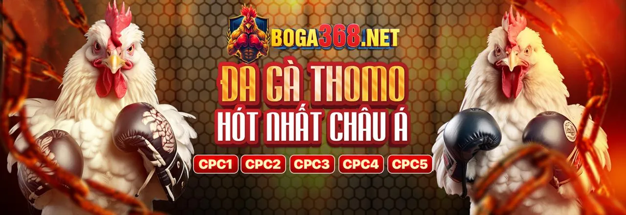 Hỗ trợ khách hàng 24/7 của cwin app